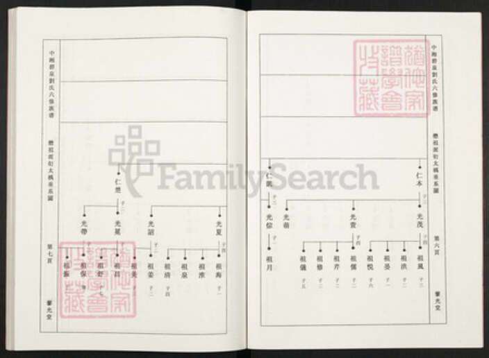 湖南省湘潭市湘潭县锦石乡刘氏藜光堂族谱-中湘碧泉刘氏六修族谱.pdf电子版预览图5