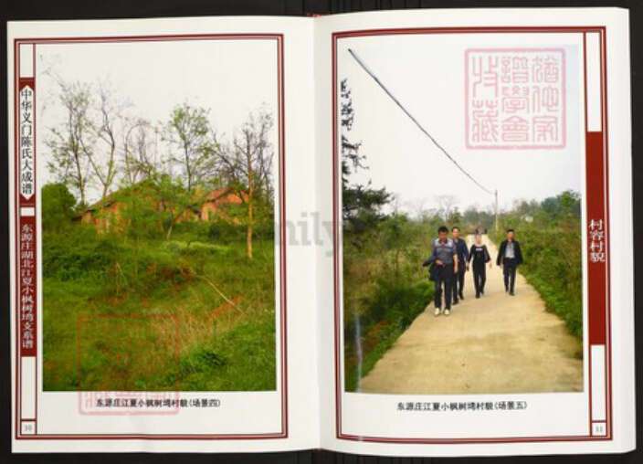 湖北省武汉市江夏区陈氏族谱-中华义门陈氏大成谱东源庄湖北江夏小枫树塆支系谱.pdf电子版预览图5