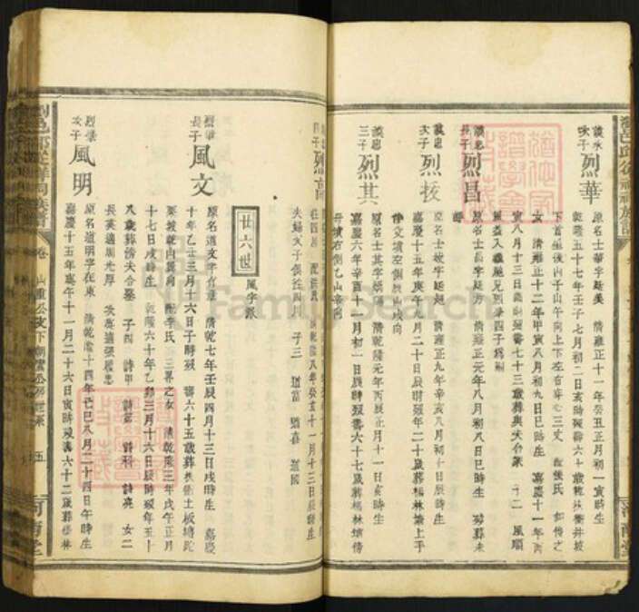 湖南省长沙市浏阳市沙市镇邱氏河南堂族谱-浏邑邱从祥祠族谱.pdf电子版预览图5