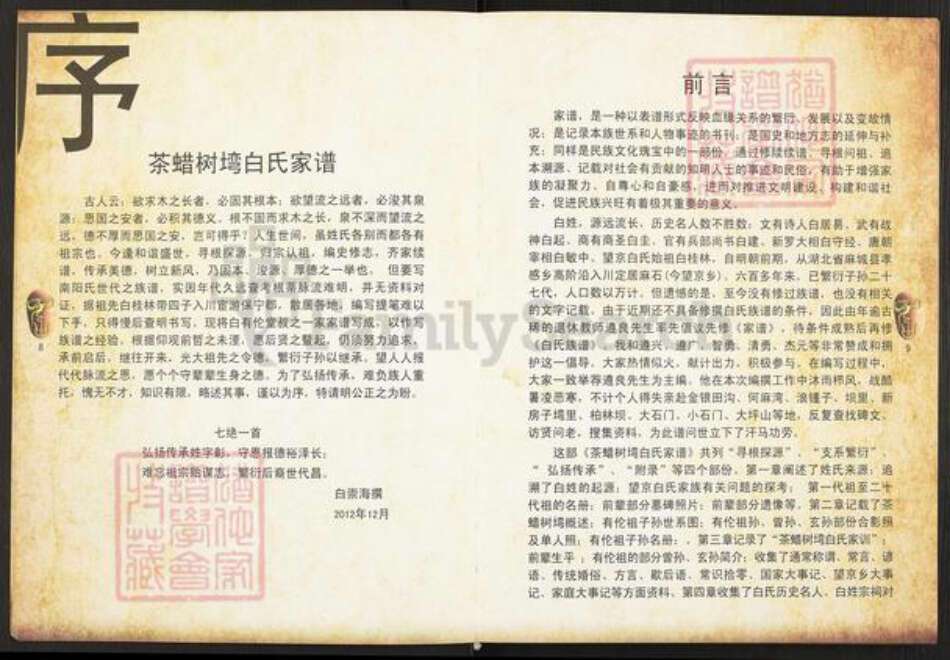 四川省巴中市平昌县望京镇白氏治生堂族谱-白氏家谱.pdf电子版预览图5