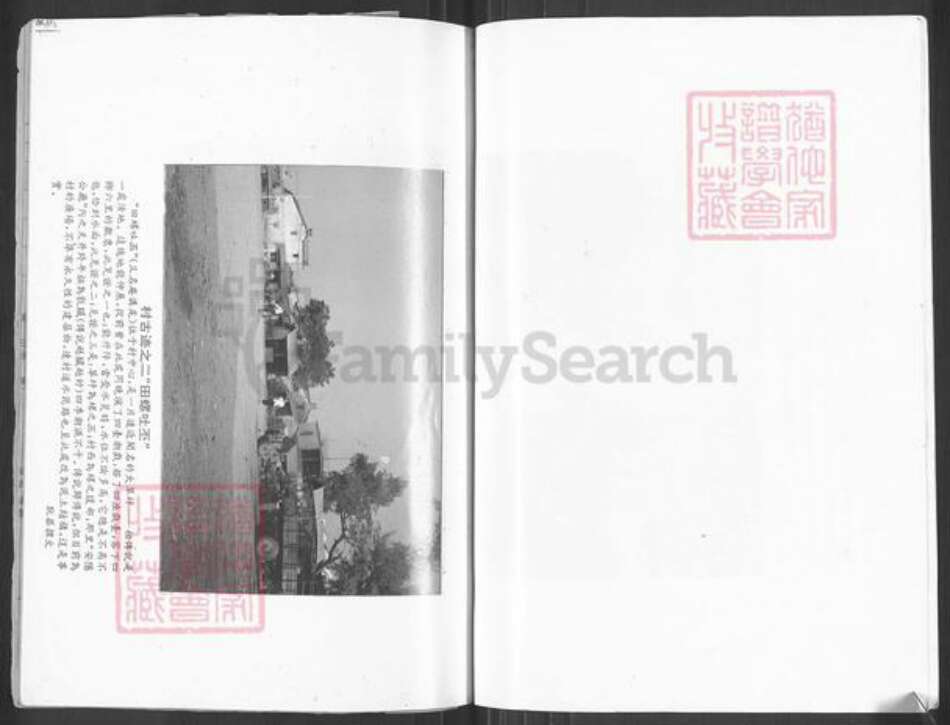 广东省揭阳市揭东区锡场镇蔡氏族谱-蔡氏潭前族谱.pdf电子版预览图5