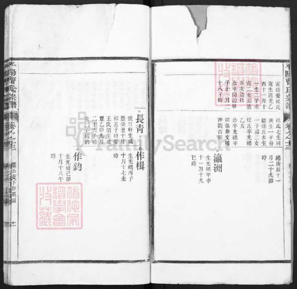 浙江省温州市曹氏族谱-平阳曹氏宗谱.pdf电子版预览图5