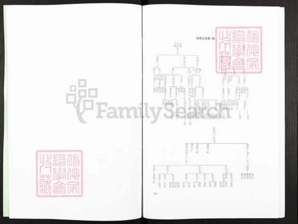 广西壮族自治区玉林平南大鹏镇岑氏族谱-岑氏族谱.pdf电子版预览图5