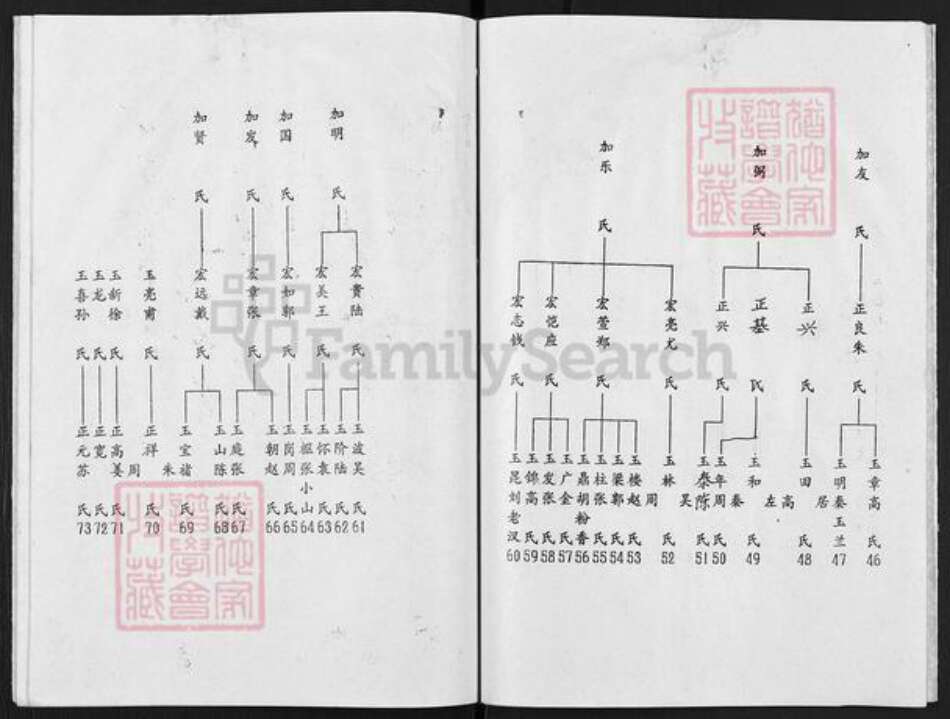 江苏省扬州市高邮市陈氏颖川堂族谱-陈氏谱书.pdf电子版预览图5