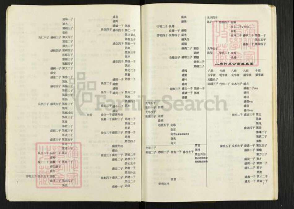 重庆市潼南区太安镇陈氏族谱-陈氏族(简)谱.pdf电子版预览图5