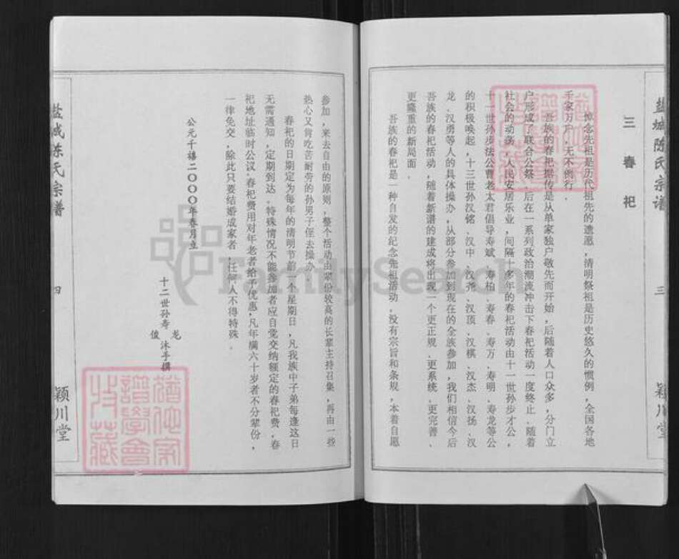 江苏省盐城市建湖县陈氏颖川堂族谱-盐城陈氏宗谱.pdf电子版预览图5