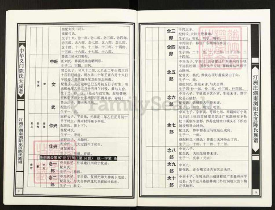 湖南省长沙市浏阳市官渡镇陈氏族谱-中华义门陈氏大成谱.汀州庄湖南浏阳东区陈氏族谱.浏东达浒里佳洞道照支系.pdf电子版预览图5