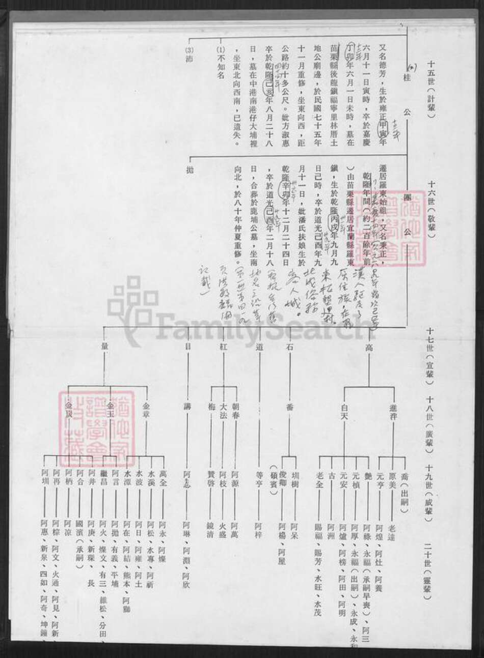 福建省漳州市漳浦县佛昙镇陈氏族谱-鉴湖陈家世系表(元祖南院派).pdf电子版预览图5