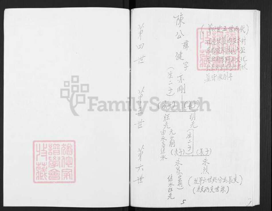 山东省滨州市邹平市好生街道陈氏族谱-陈氏族谱.pdf电子版预览图5