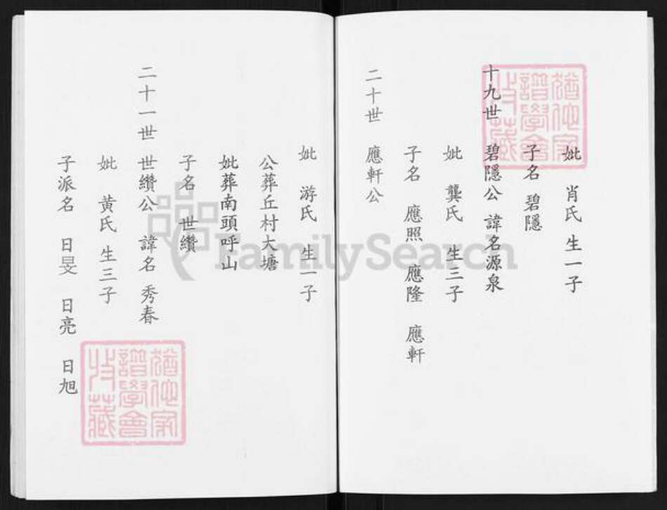 福建省南平市建阳区回龙乡陈氏颖川堂族谱-陈氏族谱.pdf电子版预览图5