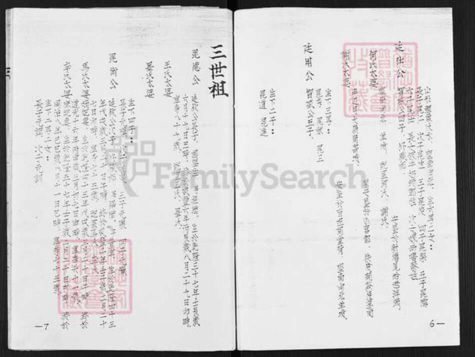 广东省清远市陈氏世昌堂族谱-陈氏族谱.pdf电子版预览图5