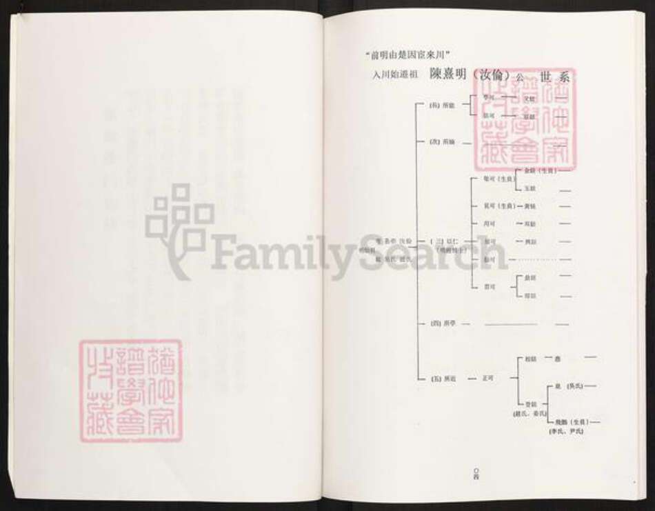 四川省眉山市眉山陈氏族谱-陈氏家谱.颍川郡江州义门陈氏四川仁寿县满井王家大湾.pdf电子版预览图5