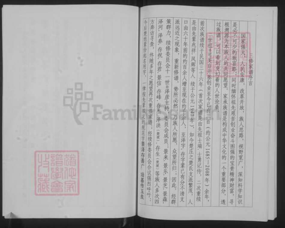山东省聊城市聊城市沙镇镇楚氏族谱-楚氏家谱.pdf电子版预览图5