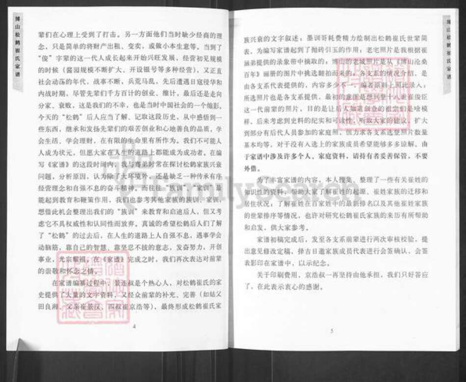 山东省淄博市博山区崔氏敬修堂族谱-博山松鹤崔氏家谱.pdf电子版预览图5