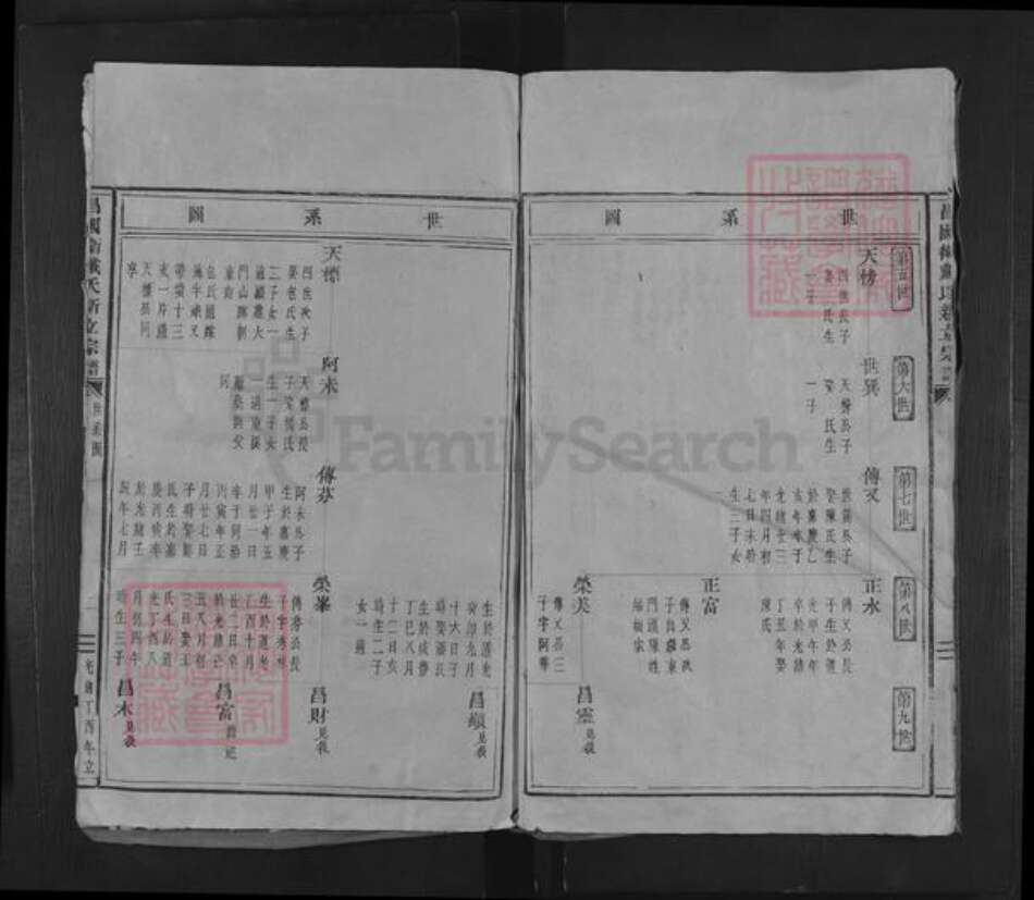 浙江省宁波市象山县戴氏族谱-昌国卫戴氏新立宗谱.pdf电子版预览图5