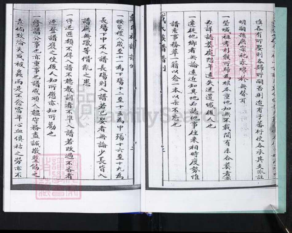 山东省青岛市崂山区戴氏族谱-大麦岛戴氏族谱.pdf电子版预览图5