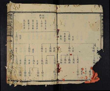 福建彭氏族谱-陇西彭氏族谱 [9卷].pdf电子版预览图5