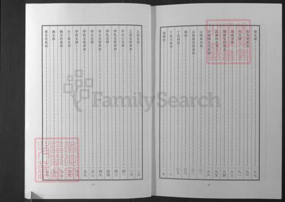 山东省烟台市招远市罗峰街道丁氏族谱-招远丁家庄子丁氏族谱.pdf电子版预览图5