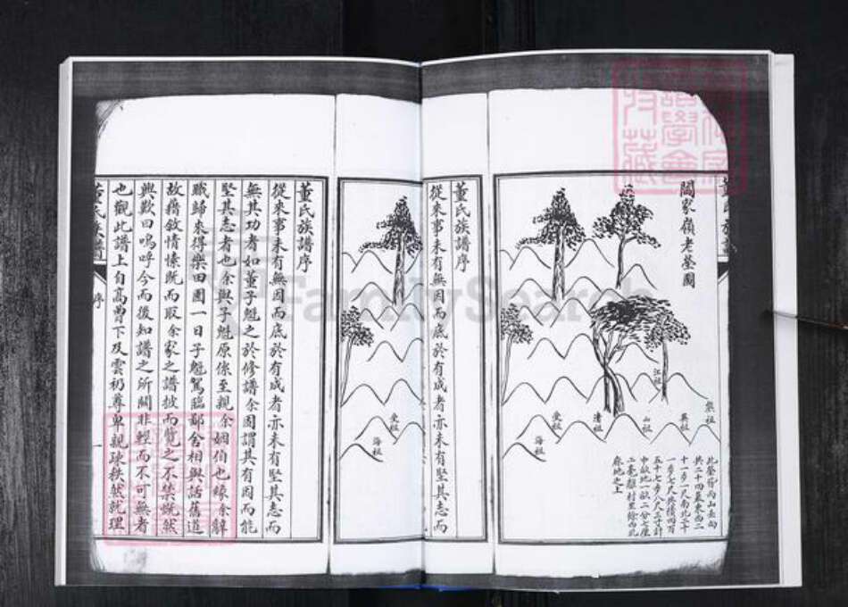 山东省青岛市崂山区董氏族谱-南北岭社区董氏族谱.pdf电子版预览图5