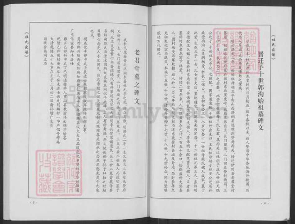 河南省郑州市登封市石道乡杜氏族谱-杜氏家谱.pdf电子版预览图5