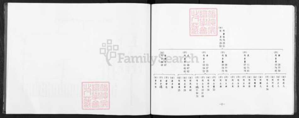 甘肃省庆阳市镇原县杜氏族谱-杜氏家谱.pdf电子版预览图5