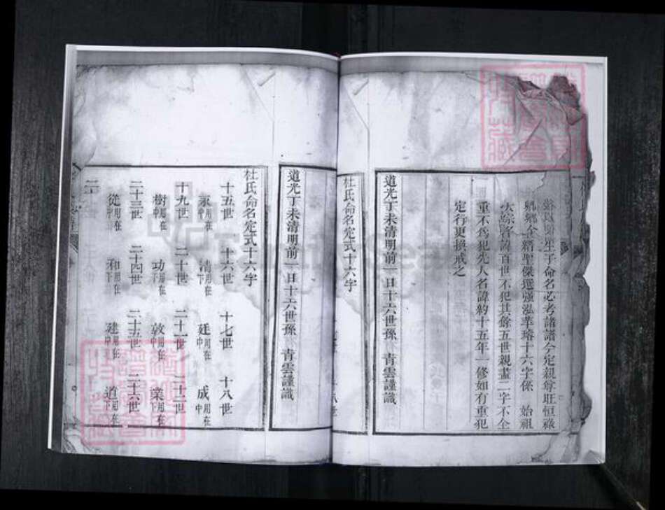 山东省青岛市崂山区杜氏族谱-会场社区杜氏族谱.pdf电子版预览图5