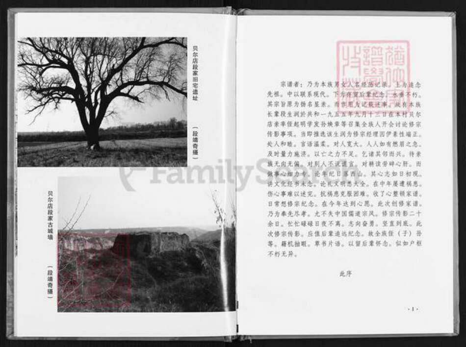 陕西省延安市黄陵县段氏族谱-段氏家谱.pdf电子版预览图5