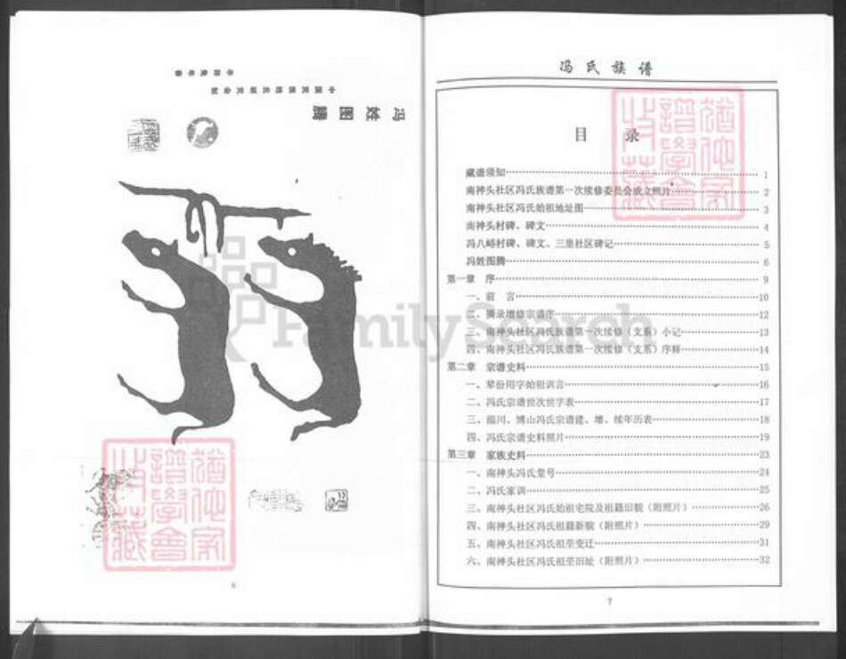 山东省淄博市博山区冯氏富厚堂族谱-冯氏族谱.pdf电子版预览图5