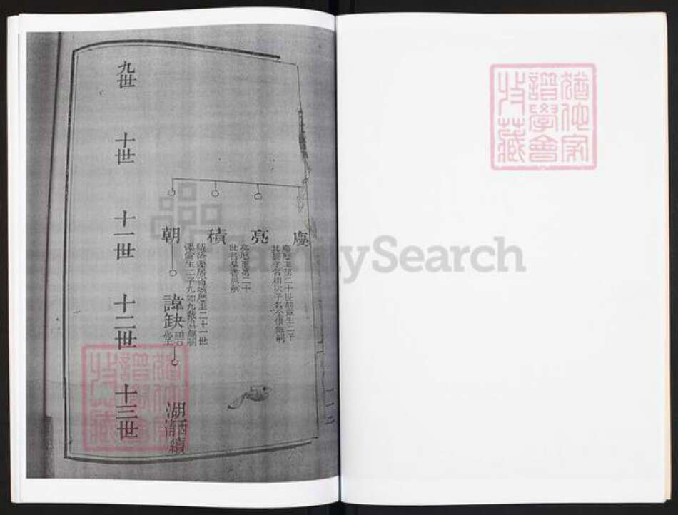 广东省云浮市罗定市龙湾镇冯氏凝福堂族谱-龙湾冯氏世谱.pdf电子版预览图5