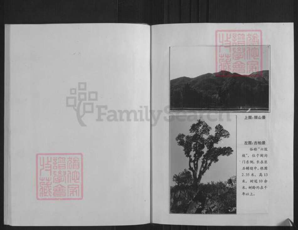 山西省忻州市繁峙县高氏族谱-高氏世谱.pdf电子版预览图5