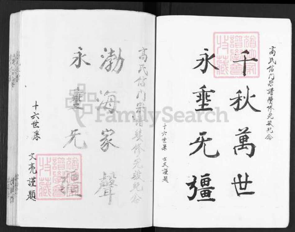 江苏省盐城市建湖县庆丰镇高氏渤海堂族谱-古盐高氏宗谱.信门.pdf电子版预览图5