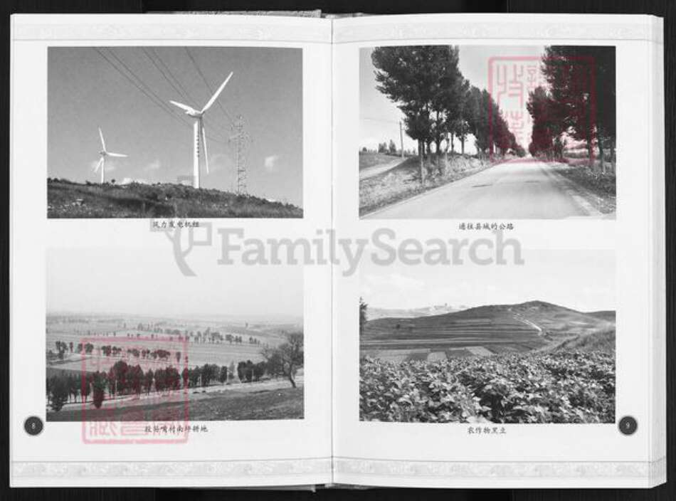 山西省忻州市神池县东湖乡高氏族谱-高氏段笏嘴家谱.pdf电子版预览图5