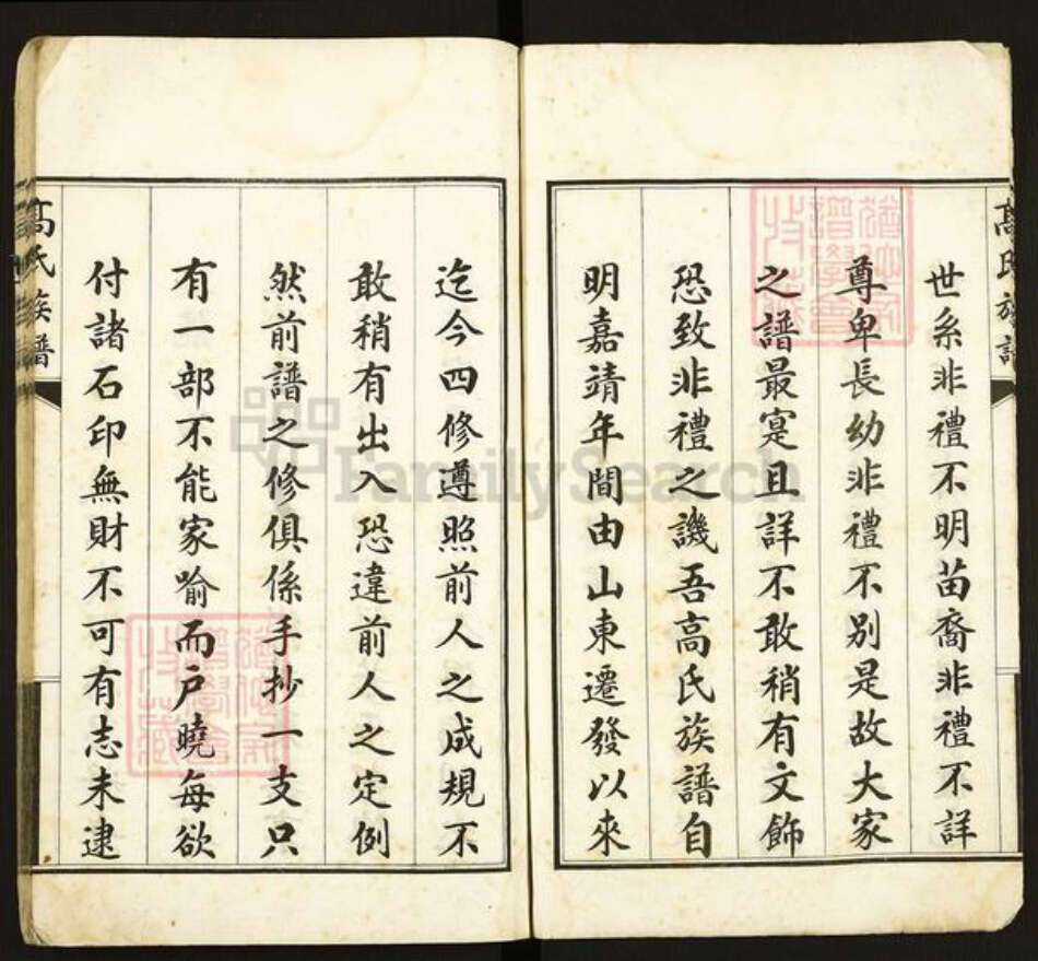 河北省沧州东光县高氏族谱-高氏族谱.pdf电子版预览图5