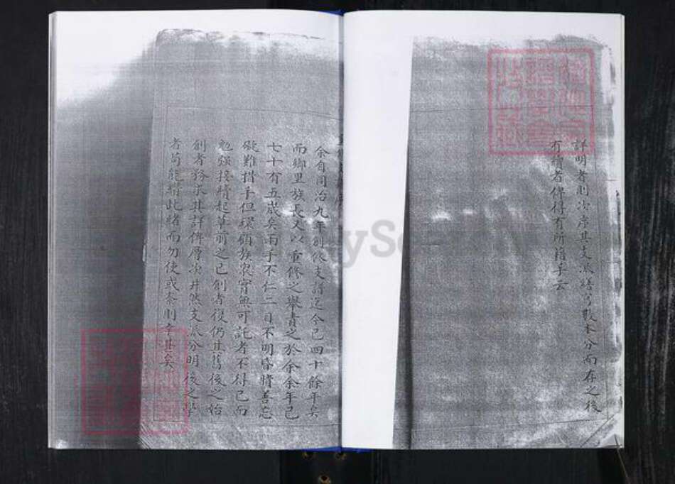 山东省青岛市崂山区高氏族谱-常家社区高氏支族谱一支(老谱).pdf电子版预览图5