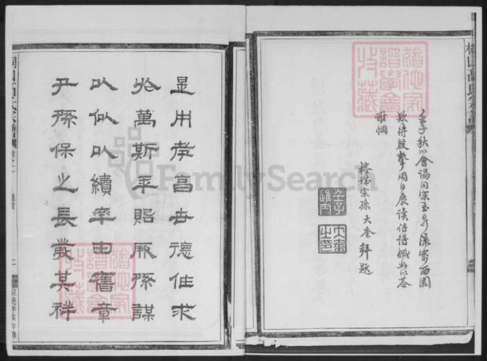 福建省宁德市福鼎市桐山街道高氏族谱-桐山高氏宗谱.pdf电子版预览图5