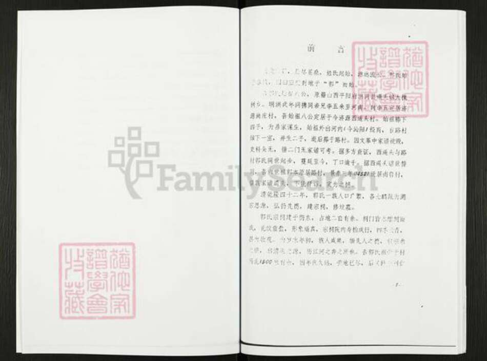 河南省焦作市沁阳市王曲乡郭氏族谱-郭氏家谱.pdf电子版预览图5