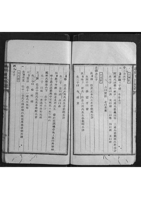 福建王氏族谱-唐科王氏族谱.pdf电子版预览图5