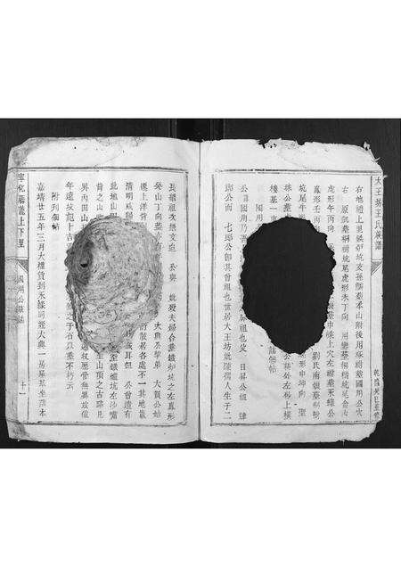 福建王氏族谱-大王坊王氏族谱.pdf电子版预览图5