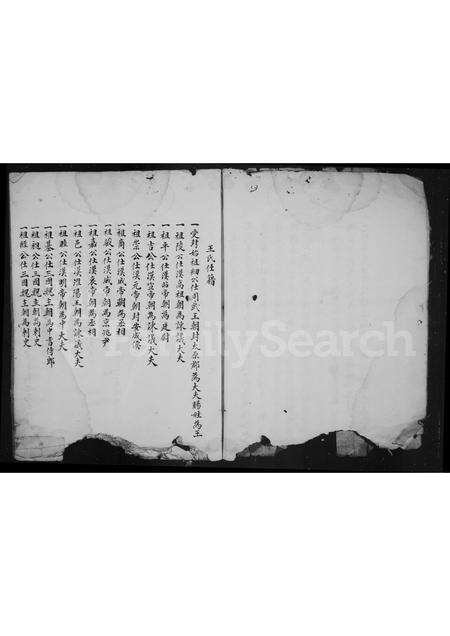 福建王氏族谱-太原王氏宗谱.pdf电子版预览图5