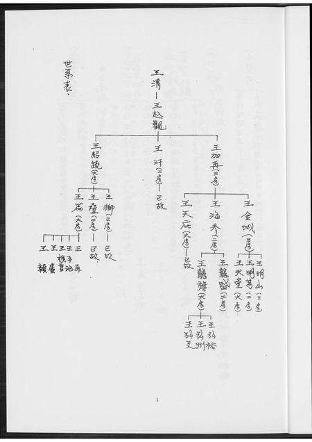 福建王氏族谱-王姓族谱.pdf电子版预览图5