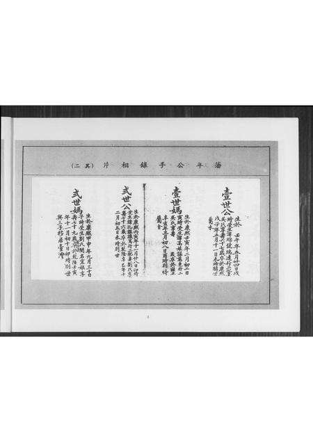 福建王氏族谱-王姓谱系.pdf电子版预览图5