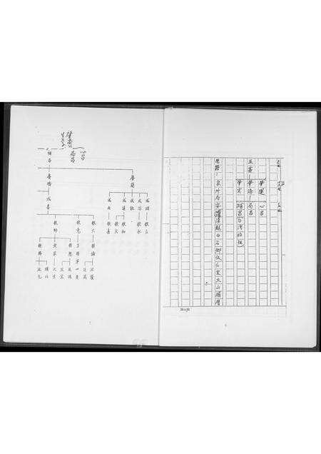福建王氏族谱-王室受姓分柱谱图.pdf电子版预览图5