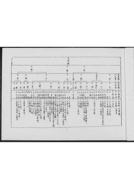 福建王氏族谱-王氏世系图.pdf电子版预览图5