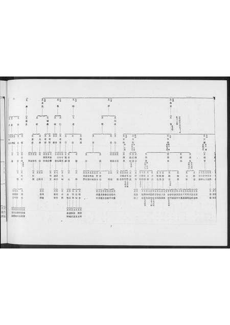 福建王氏族谱-王氏世系图. 高雄王文医家族.pdf电子版预览图5