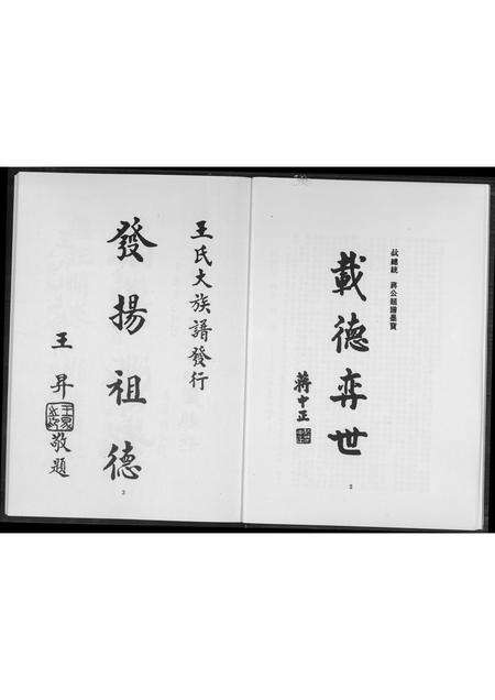 福建王氏族谱-王氏大族谱.pdf电子版预览图5