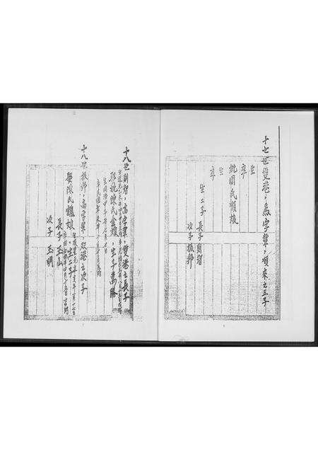 福建王氏族谱-王氏家谱.安溪派.pdf电子版预览图5