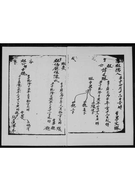 福建王氏族谱-王氏族谱.pdf电子版预览图5