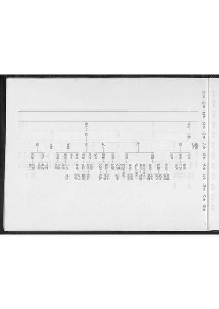 福建王氏族谱-王氏族谱.平湖公禄盛公渡台祖派下.pdf电子版预览图5