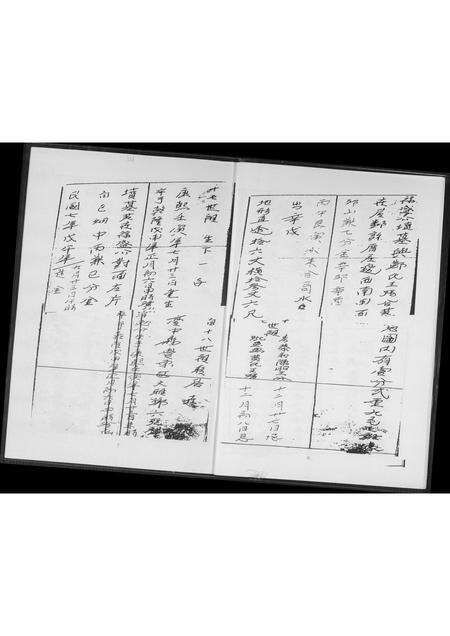 福建王氏族谱-王氏族谱.禄盛公支系.pdf电子版预览图5