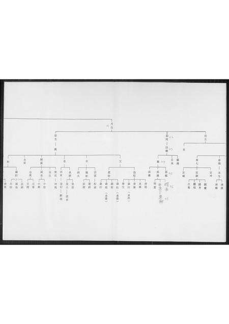 福建王氏族谱-王氏族谱.禄盛公派下.pdf电子版预览图5